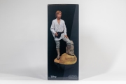 Luke-Dreamer-1-7-Scale-Statue-Boxed-4